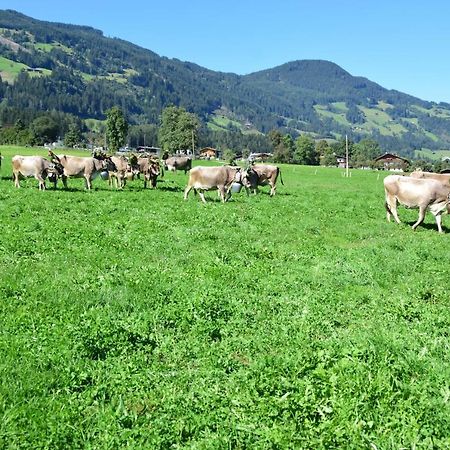 Ferienhaus Oberhuben 퓌겐베르크 외부 사진